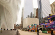 The Wall Street Experience163