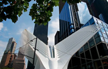 The Wall Street Experience174