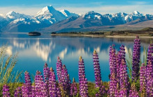 Kiwi Adventures Tour & Travel15