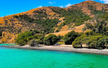 Kiwi Adventures Tour & Travel4