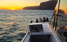 Kiwi Adventures Tour & Travel6