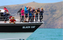 Kiwi Adventures Tour & Travel8