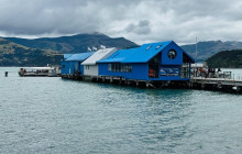 Kiwi Adventures Tour & Travel12