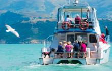 Kiwi Adventures Tour & Travel17