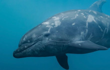 Kiwi Adventures Tour & Travel4