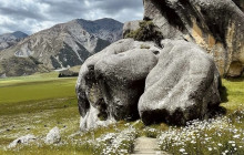 Kiwi Adventures Tour & Travel8