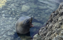 Kiwi Adventures Tour & Travel12