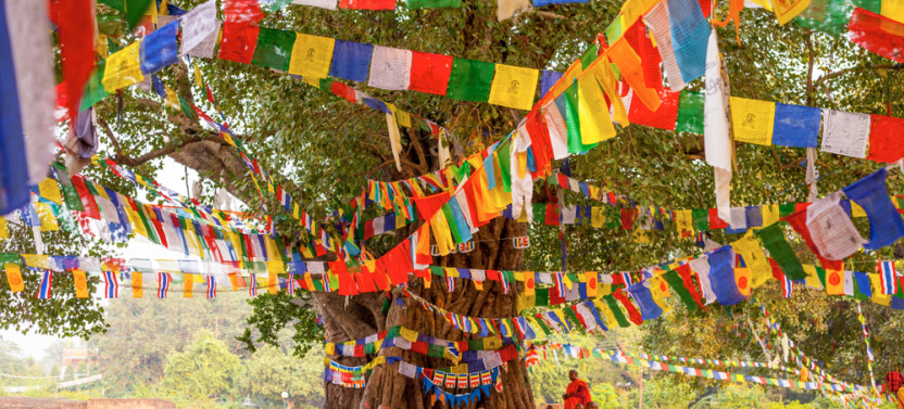 1 Day Lumbini Tour from Kathmandu by Flight