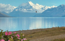 Kiwi Adventures Tour & Travel21