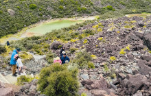 Kiwi Adventures Tour & Travel23