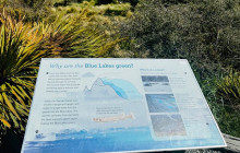 Kiwi Adventures Tour & Travel24