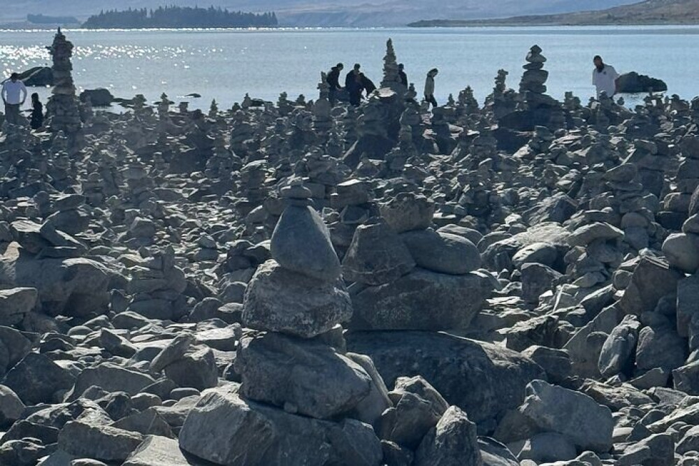 Kiwi Adventures Tour & Travel