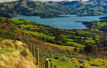 Kiwi Adventures Tour & Travel1