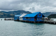 Kiwi Adventures Tour & Travel3