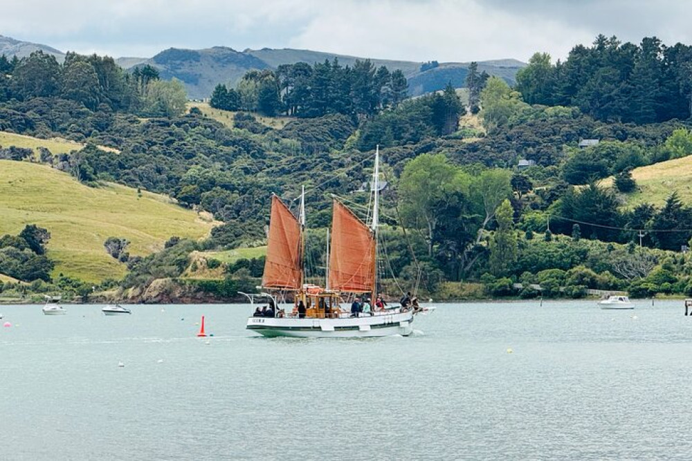 Kiwi Adventures Tour & Travel