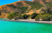 Kiwi Adventures Tour & Travel8