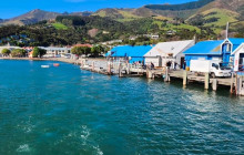 Kiwi Adventures Tour & Travel10