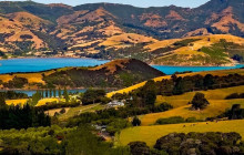 Kiwi Adventures Tour & Travel15