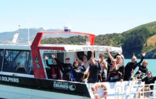 Kiwi Adventures Tour & Travel17