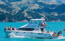 Kiwi Adventures Tour & Travel20