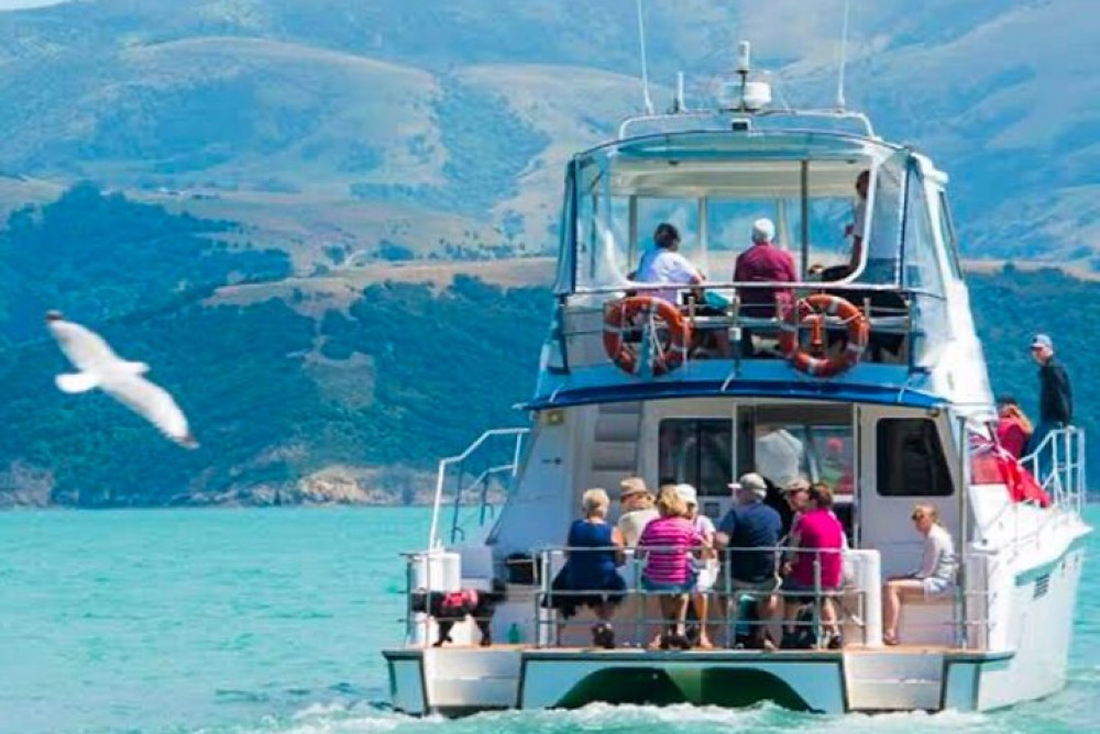 Akaroa Private Group Day Trip From Christchurch