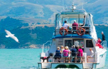 Kiwi Adventures Tour & Travel21