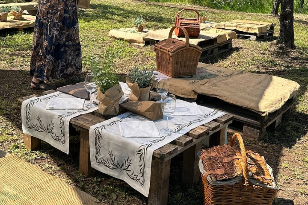 Group Tour:Picnic at the Olive Trees, Extra Virgin Olive Oil & Local Flavor