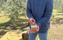 Podere Cavozzoli di Francesco Pierini9