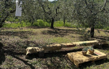 Podere Cavozzoli di Francesco Pierini10