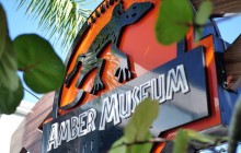 Tamares Taxi tour and transfer16