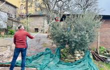 Podere Cavozzoli di Francesco Pierini8
