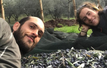 Podere Cavozzoli di Francesco Pierini12