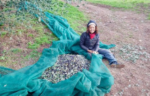 Podere Cavozzoli di Francesco Pierini13