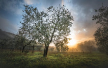 Podere Cavozzoli di Francesco Pierini16