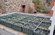 Podere Cavozzoli di Francesco Pierini16