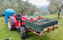 Podere Cavozzoli di Francesco Pierini17