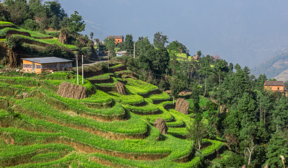 Nepal Village Home Stay Trek