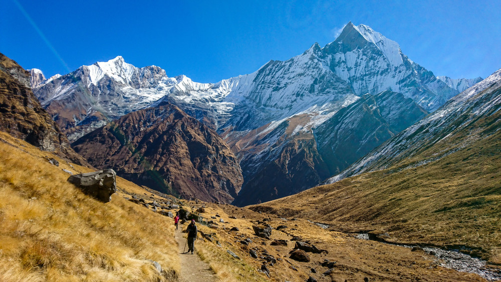 7 Days Budget Backpackers Group ABC Trek From Pokhara