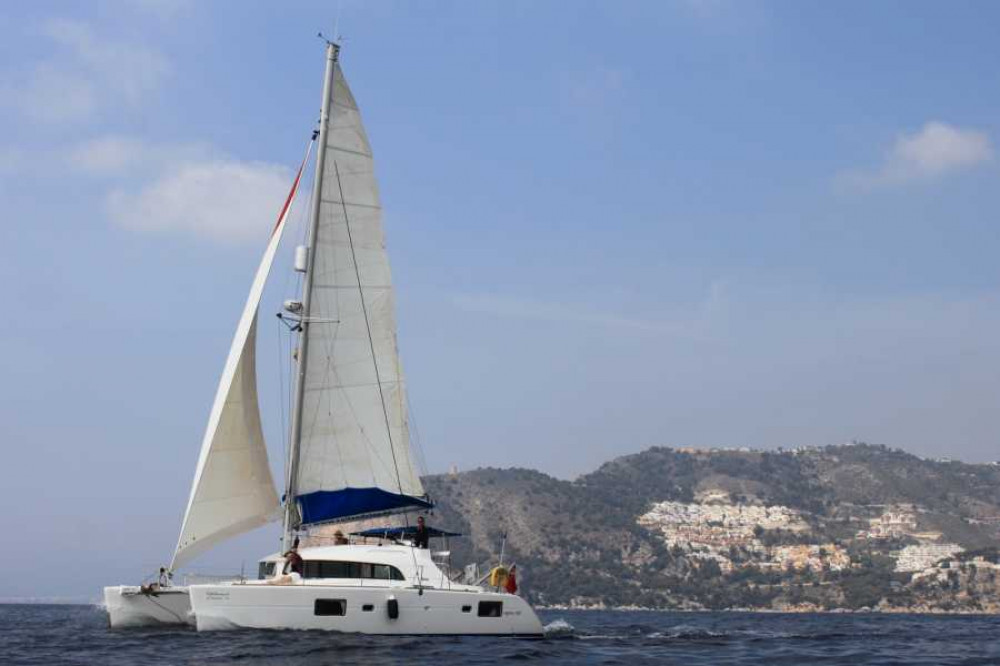 3 Hour Winter Luxury Sailing Catamaran Cruise (2024/25)