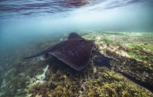 Dive Centre Bondi3