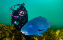 Dive Centre Bondi13