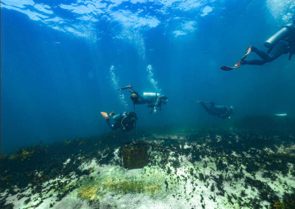 Dive Centre Bondi