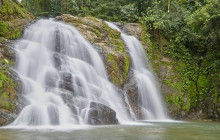 Greenway Nature Tours530