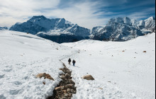 Marvel Treks and Expedition1