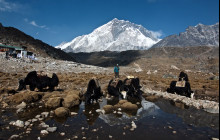 Marvel Treks and Expedition4