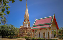 Discova Day Tours and Activities1