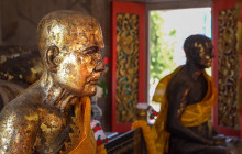 Discova Day Tours and Activities9