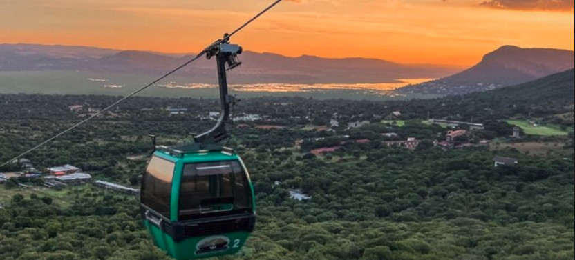 Johannesburg Wine Tasting and Cableway Half Day Tour