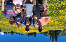 CoveredGround Tours9