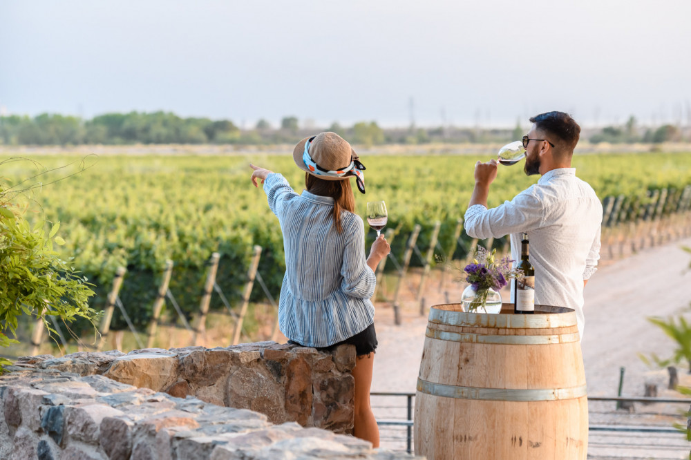 Half Day Wine Tasting in Cellar from Mendoza